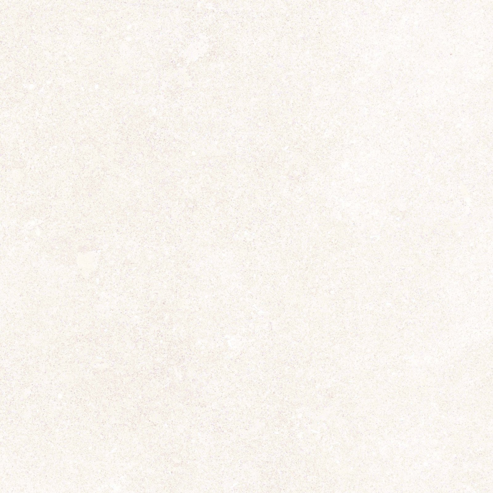 PLATINUM 60X60 JAPAN WHITE